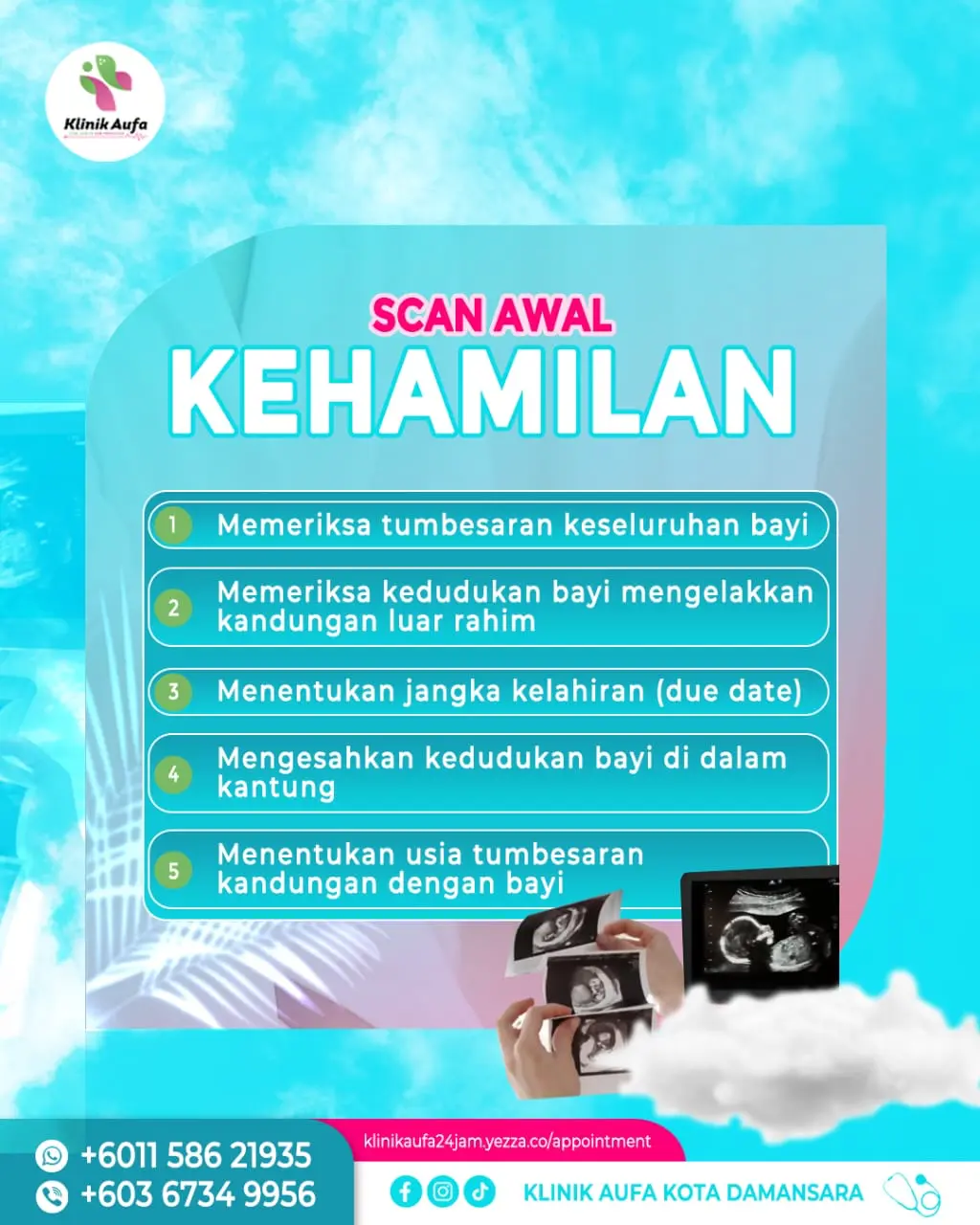 Early Pregnancy Scan